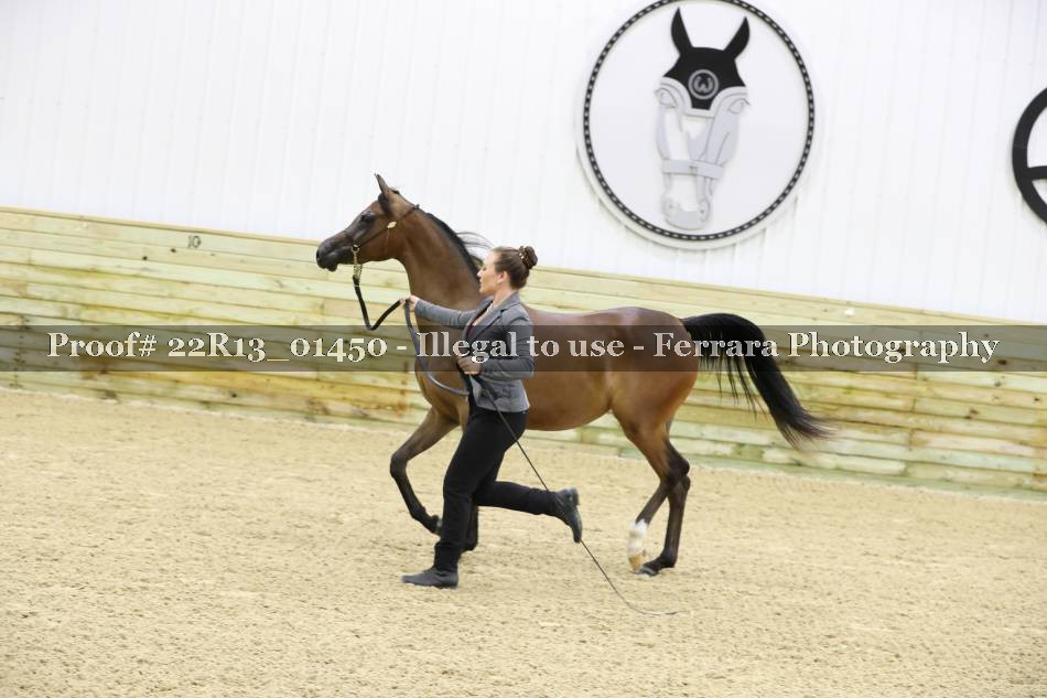 Proof 22R13_01450