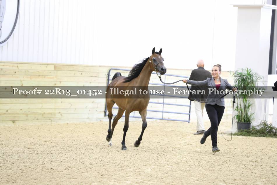 Proof 22R13_01452