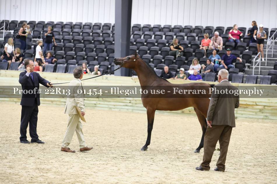 Proof 22R13_01454