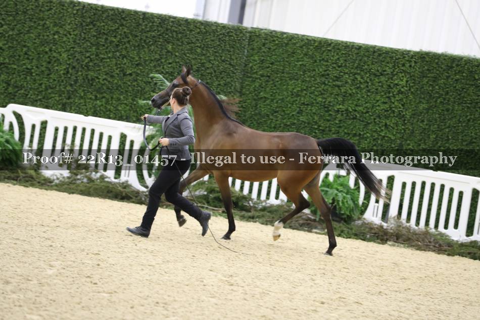 Proof 22R13_01457