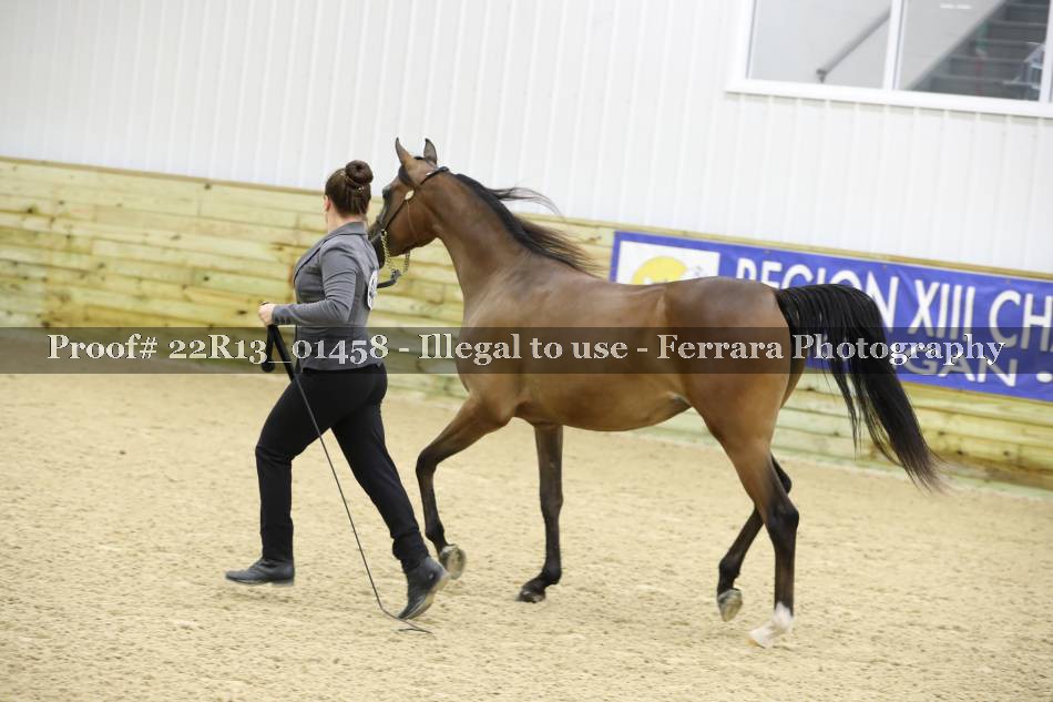 Proof 22R13_01458