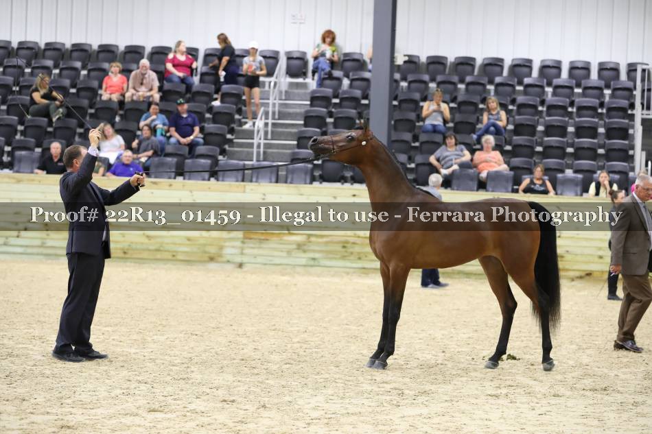 Proof 22R13_01459