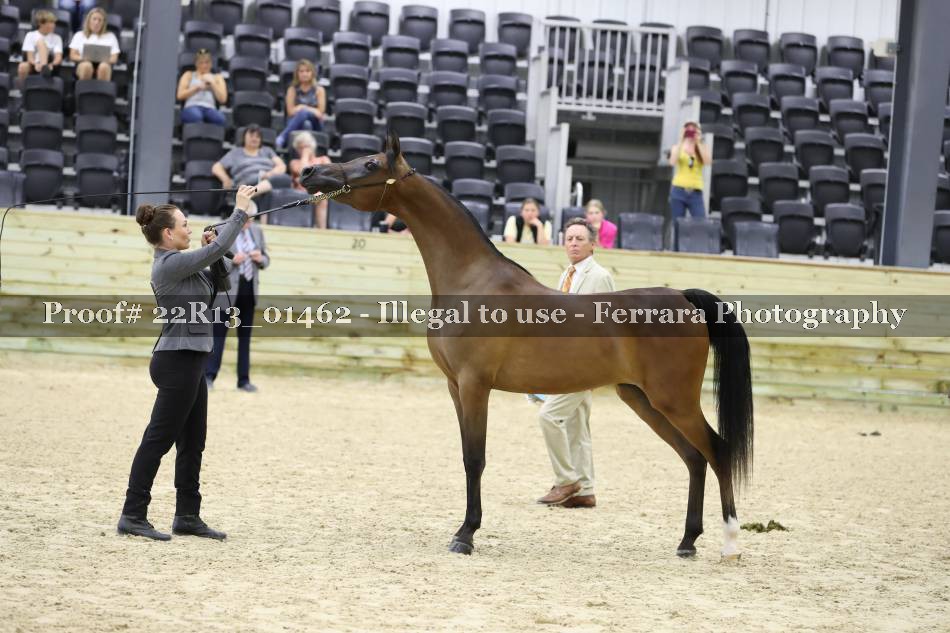 Proof 22R13_01462