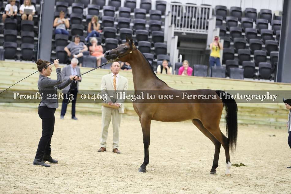 Proof 22R13_01463