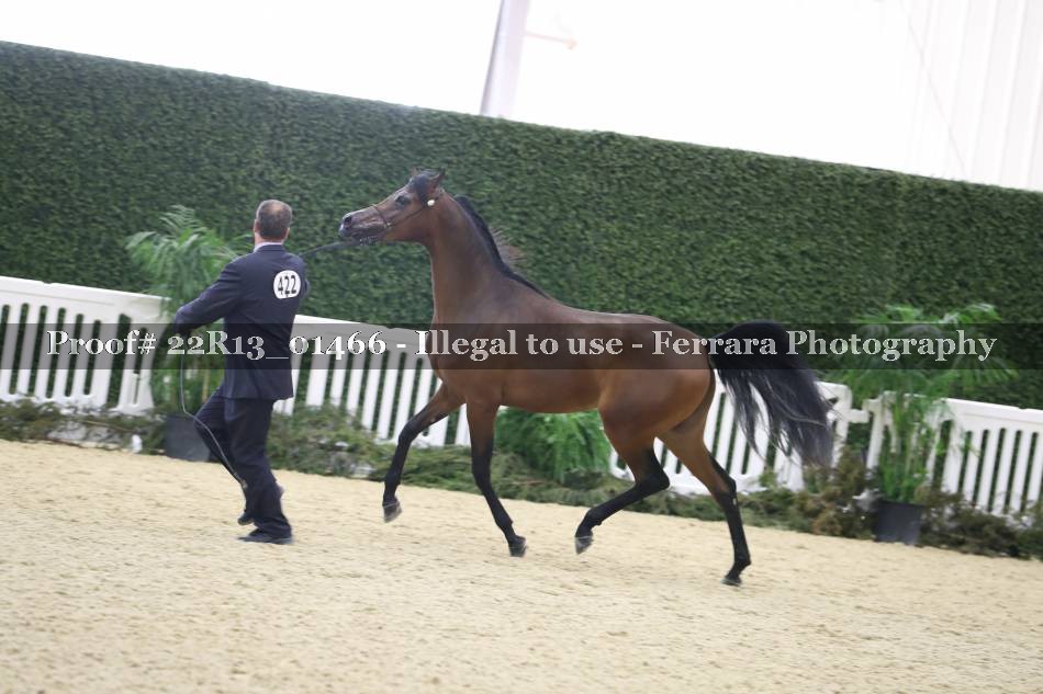 Proof 22R13_01466