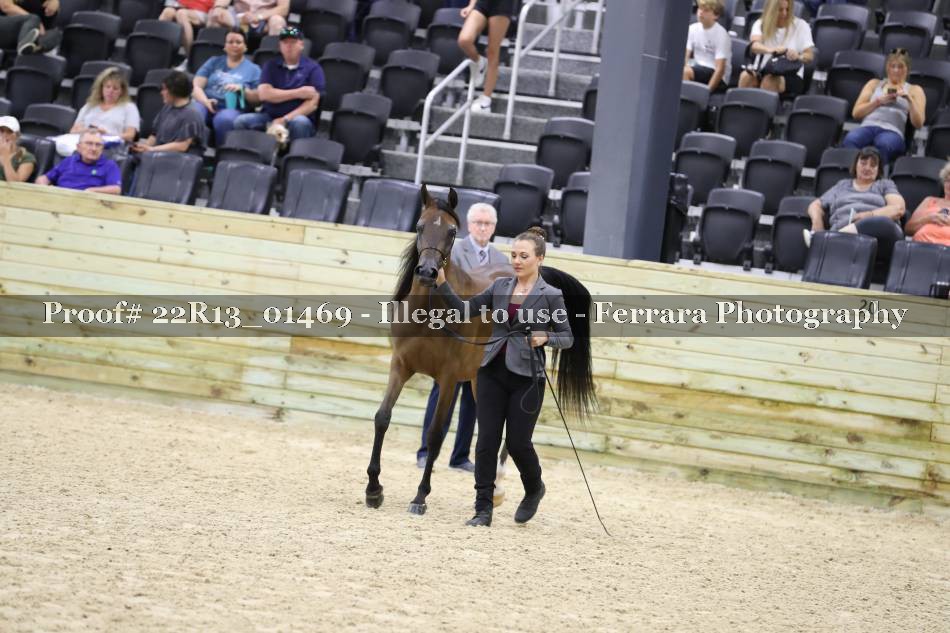Proof 22R13_01469