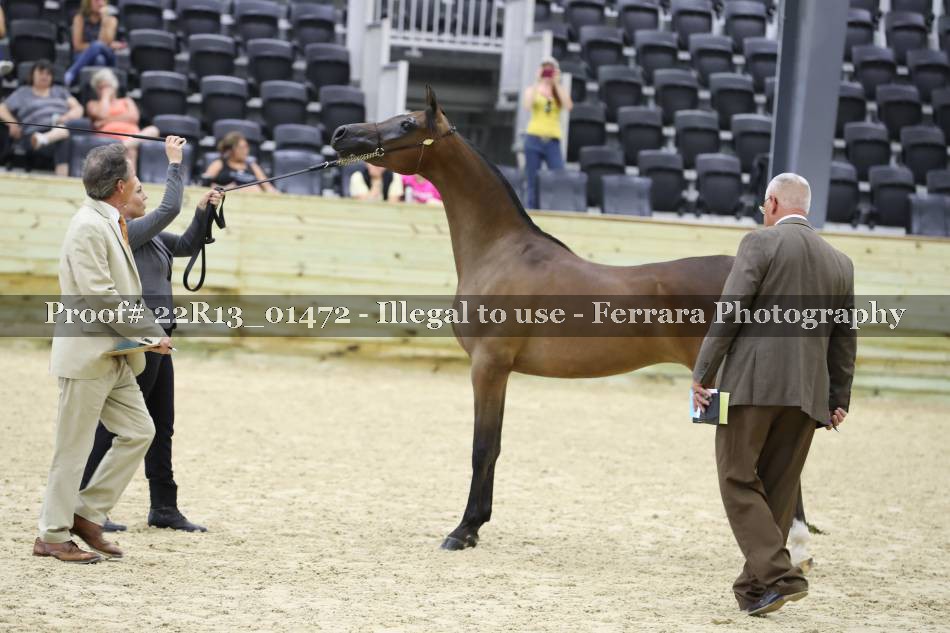 Proof 22R13_01472