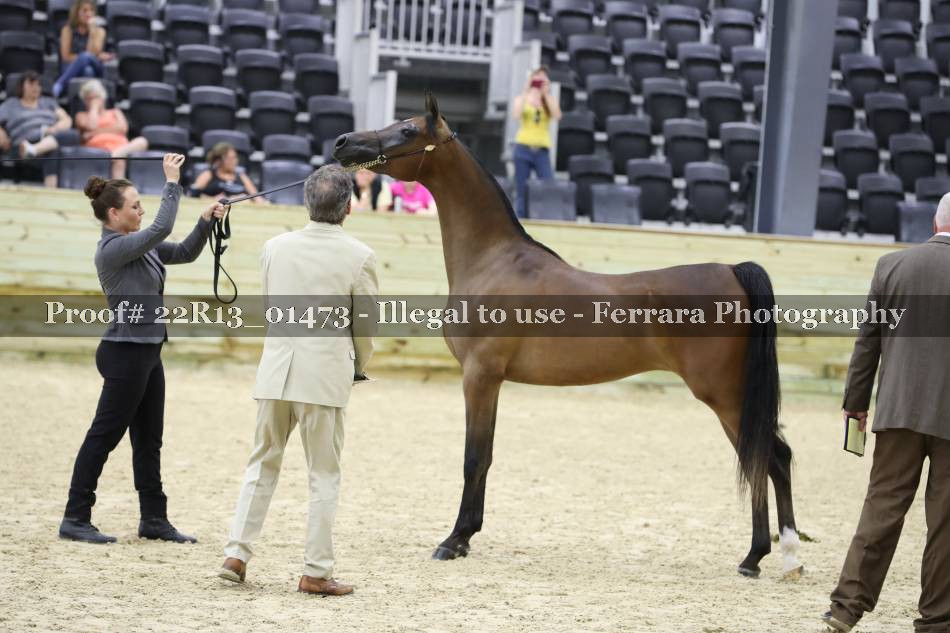 Proof 22R13_01473