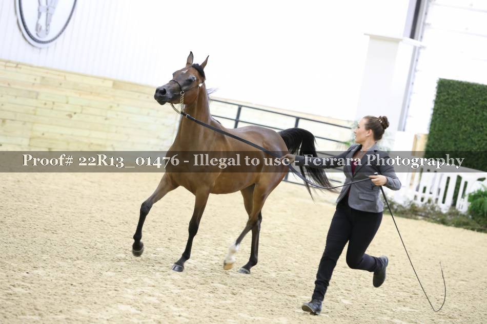 Proof 22R13_01476