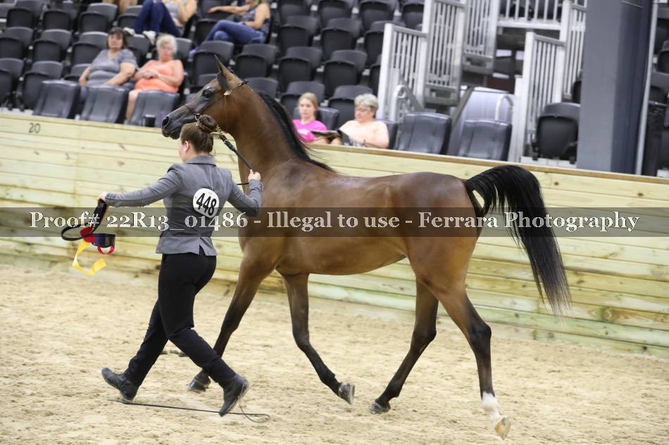 Proof 22R13_01486