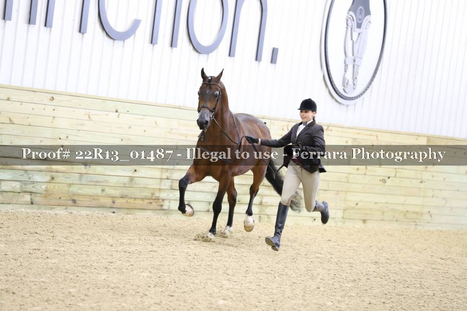 Proof 22R13_01487