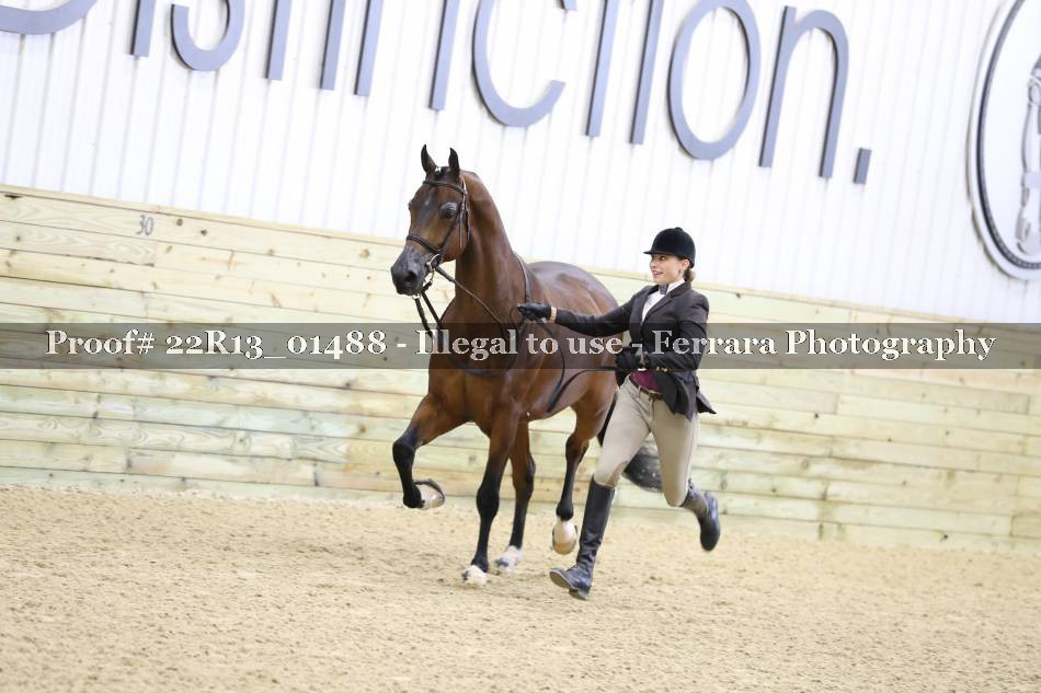 Proof 22R13_01488