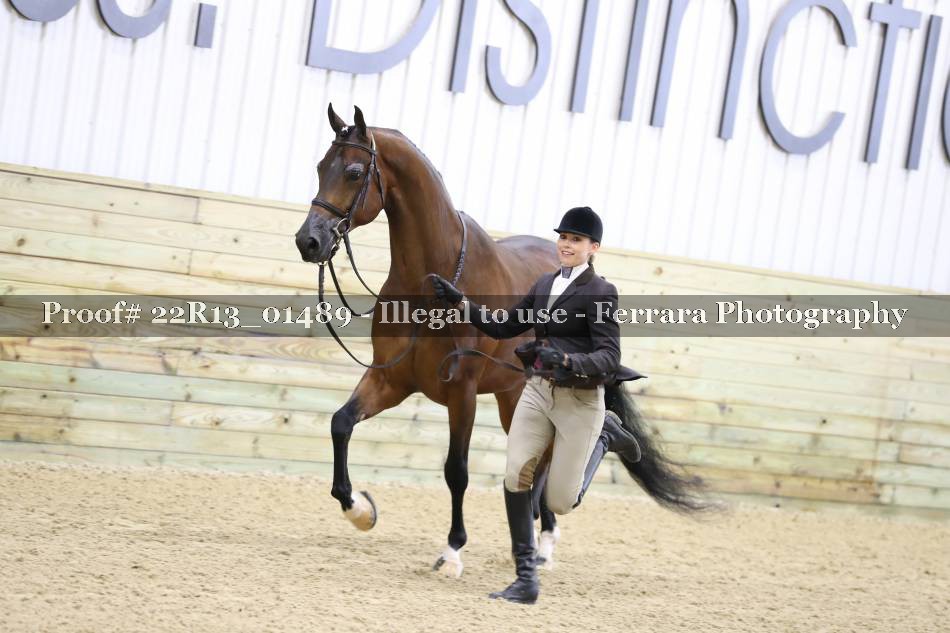 Proof 22R13_01489