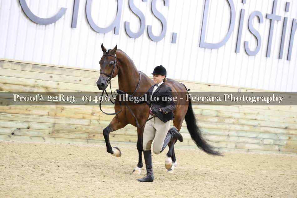 Proof 22R13_01490