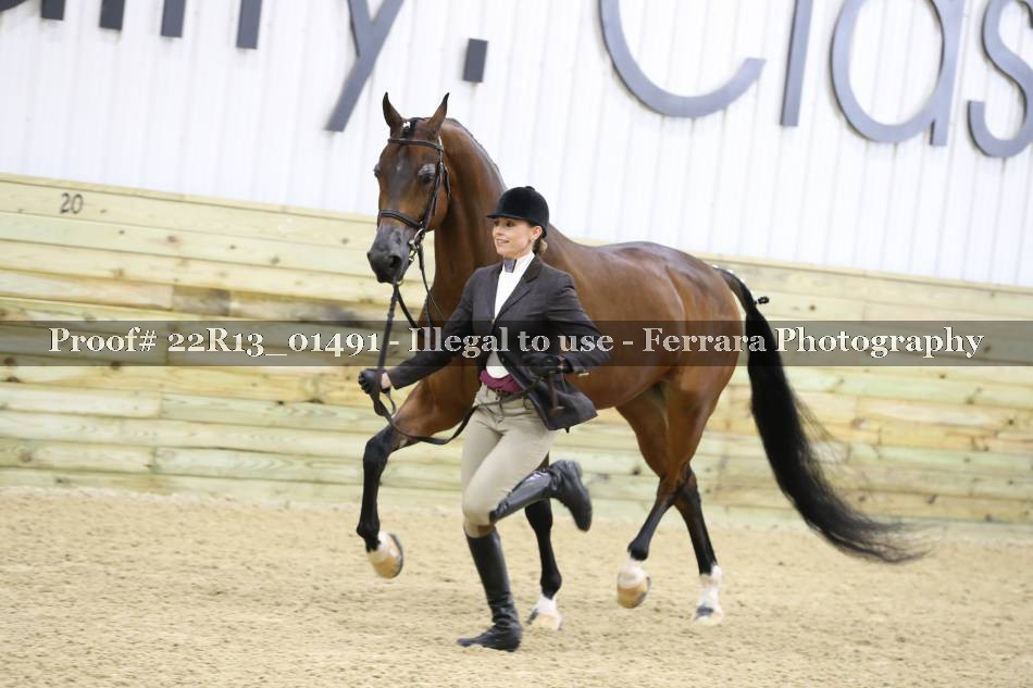 Proof 22R13_01491