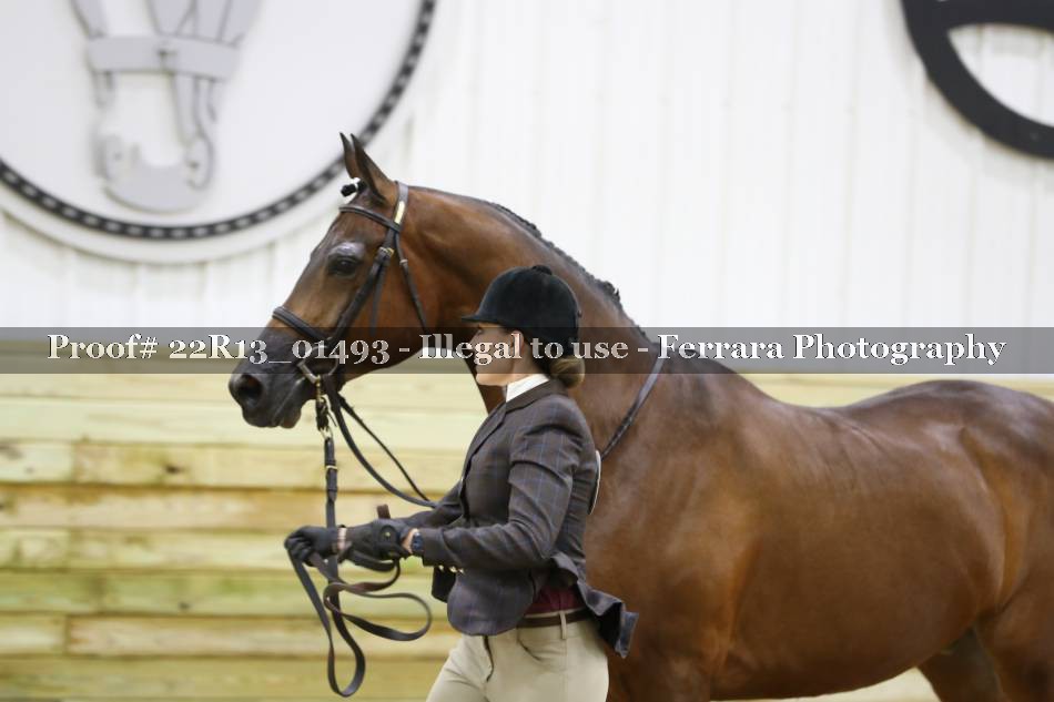 Proof 22R13_01493