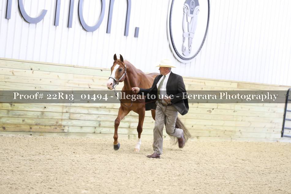 Proof 22R13_01494