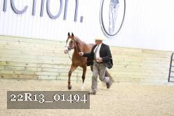 22R13_01494 proof