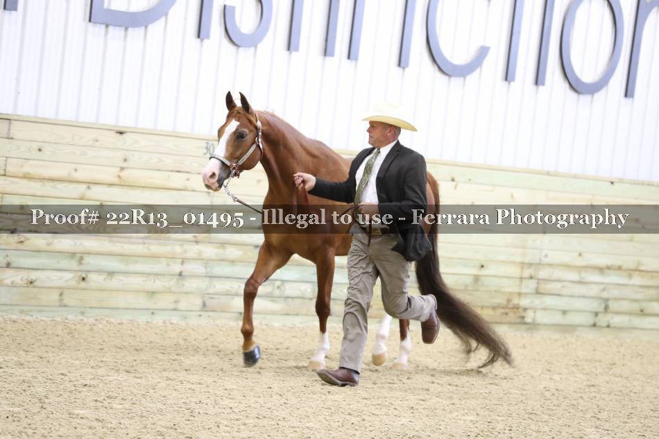 Proof 22R13_01495