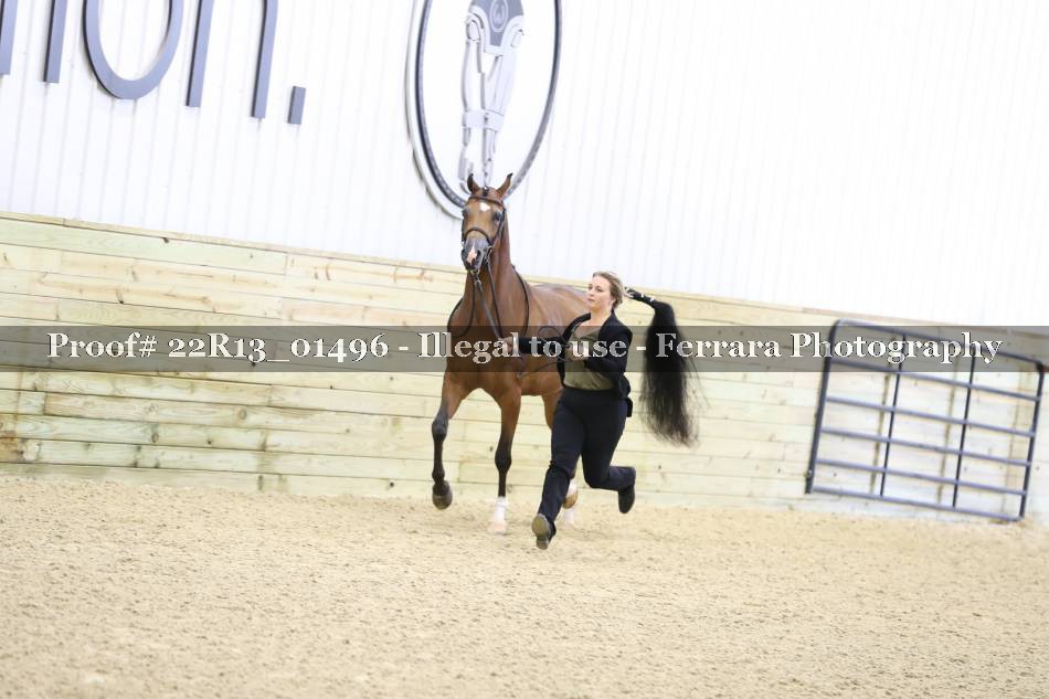 Proof 22R13_01496
