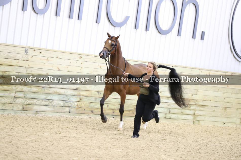 Proof 22R13_01497