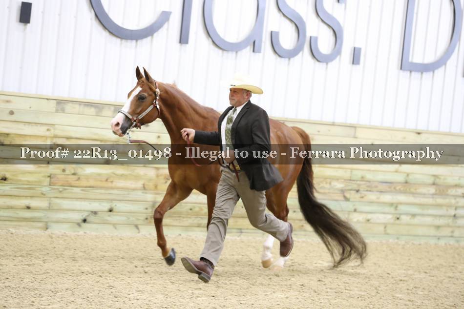 Proof 22R13_01498