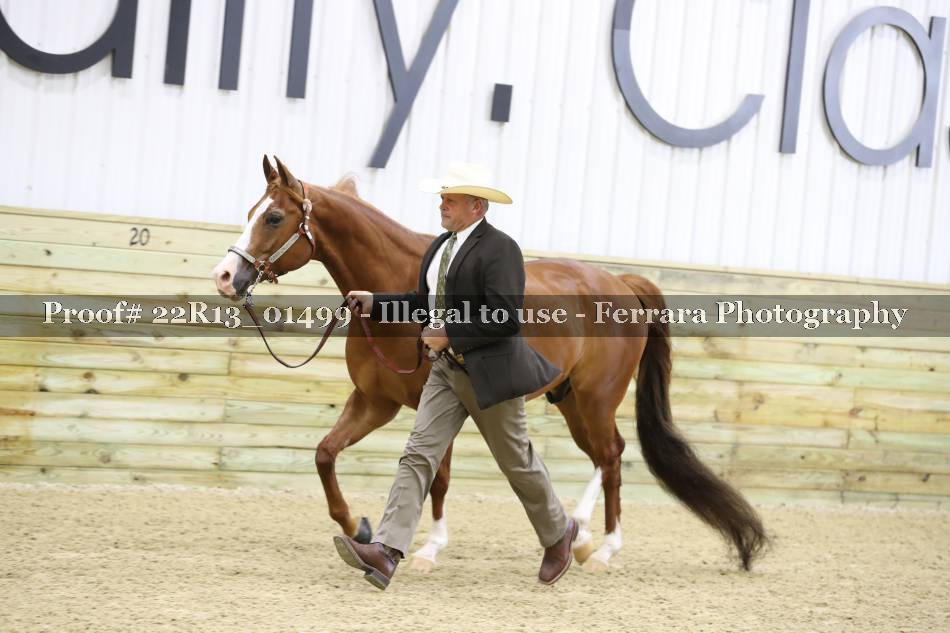 Proof 22R13_01499