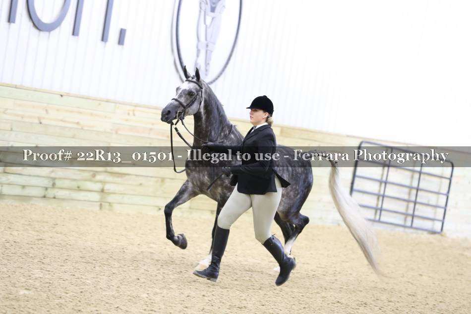 Proof 22R13_01501