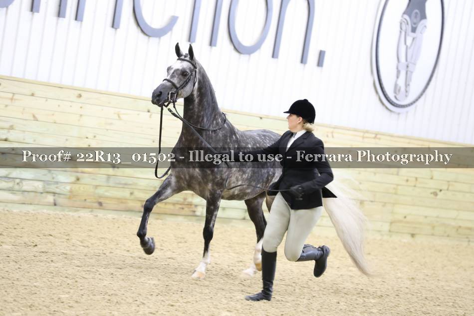Proof 22R13_01502