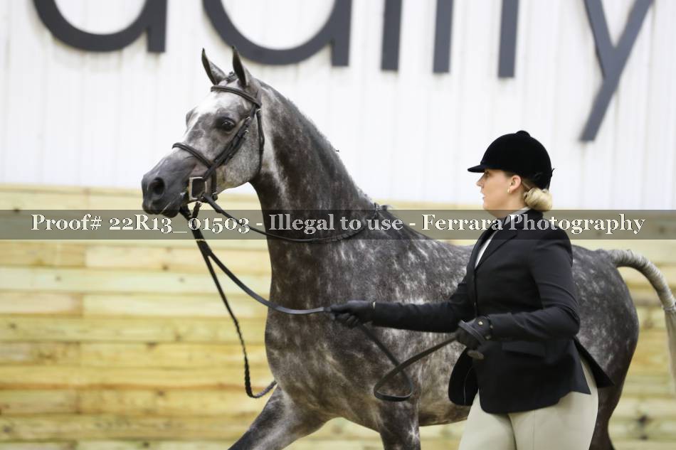 Proof 22R13_01503
