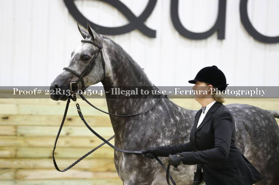 Proof 22R13_01504