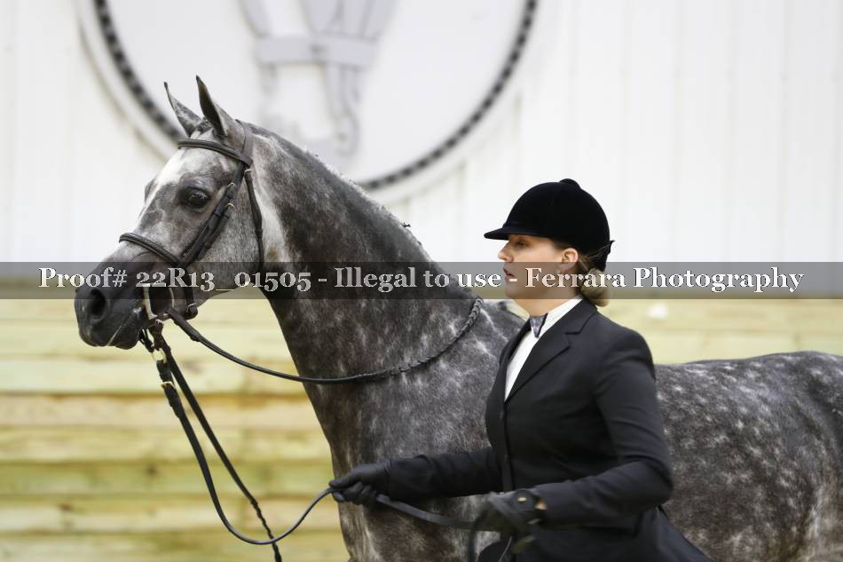 Proof 22R13_01505