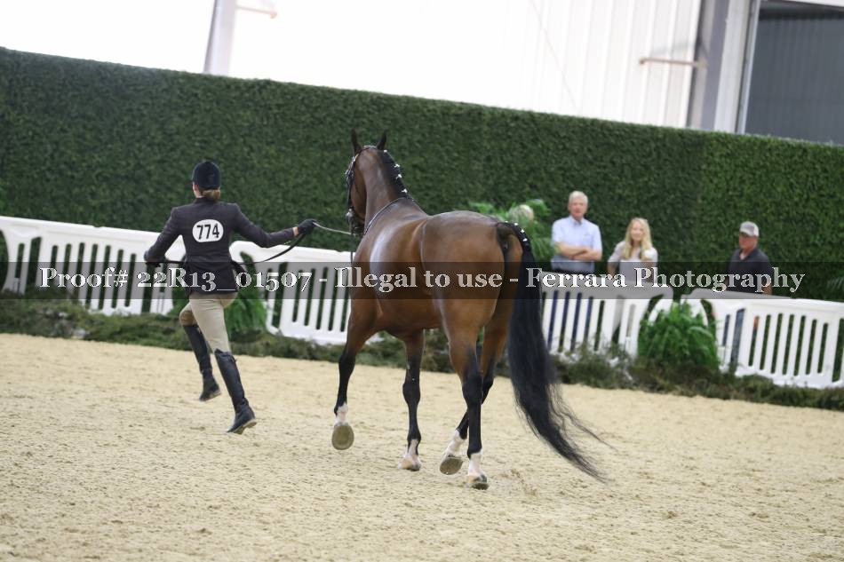 Proof 22R13_01507