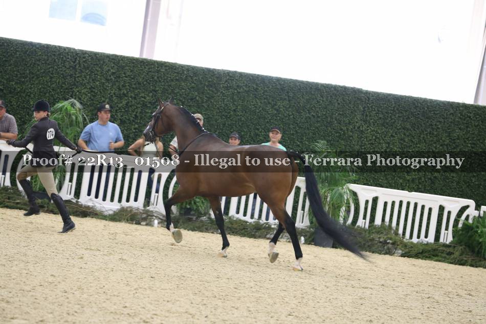 Proof 22R13_01508