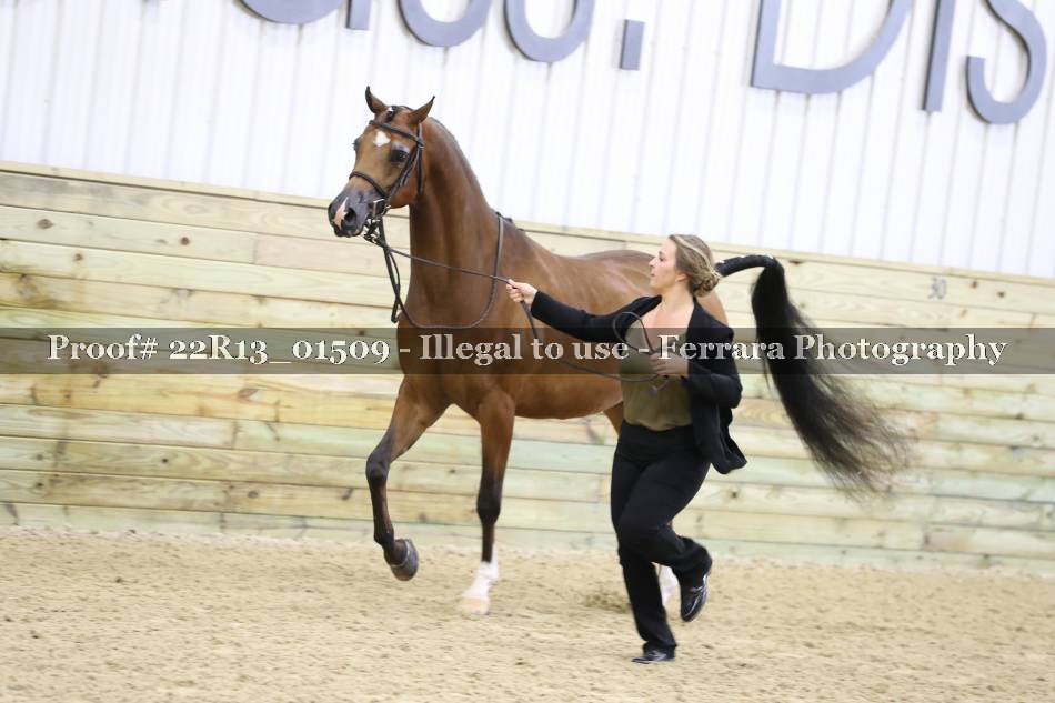 Proof 22R13_01509