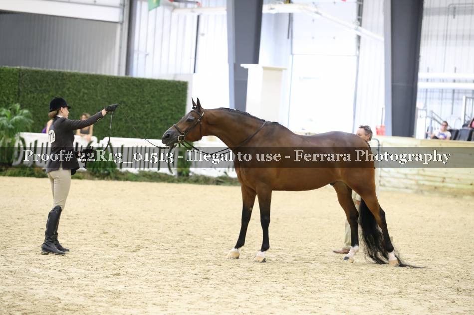 Proof 22R13_01513