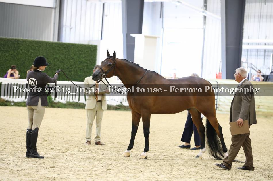 Proof 22R13_01514