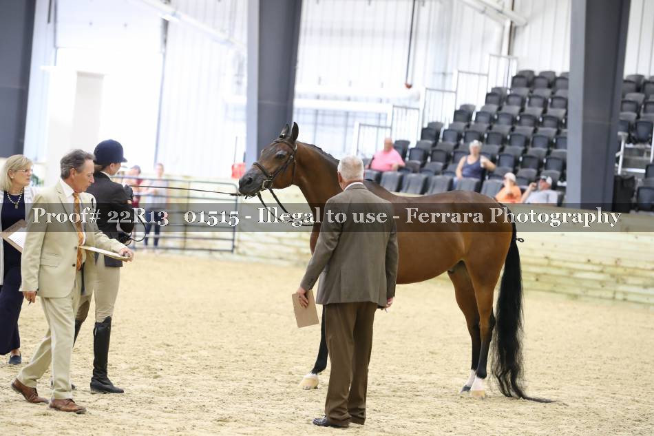 Proof 22R13_01515