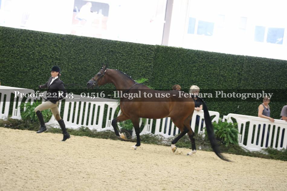 Proof 22R13_01516