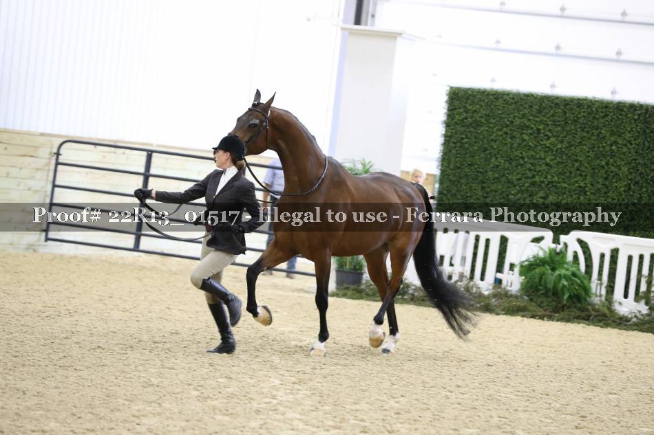 Proof 22R13_01517
