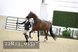 22R13_01517 proof