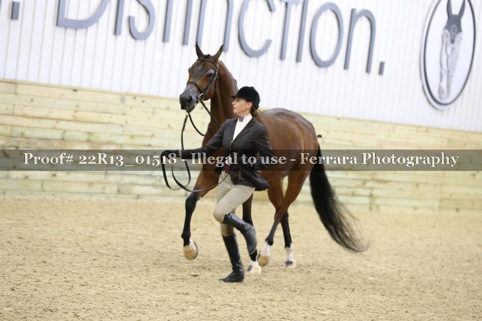 Proof 22R13_01518