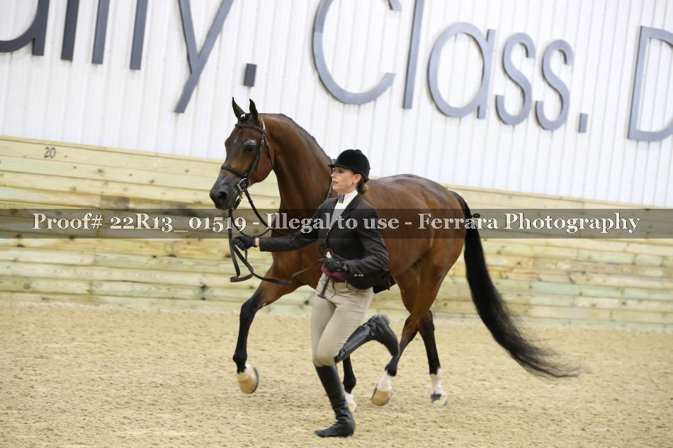 Proof 22R13_01519