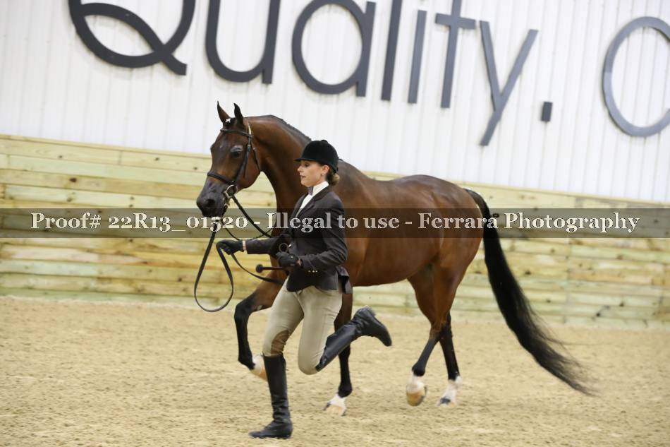 Proof 22R13_01520