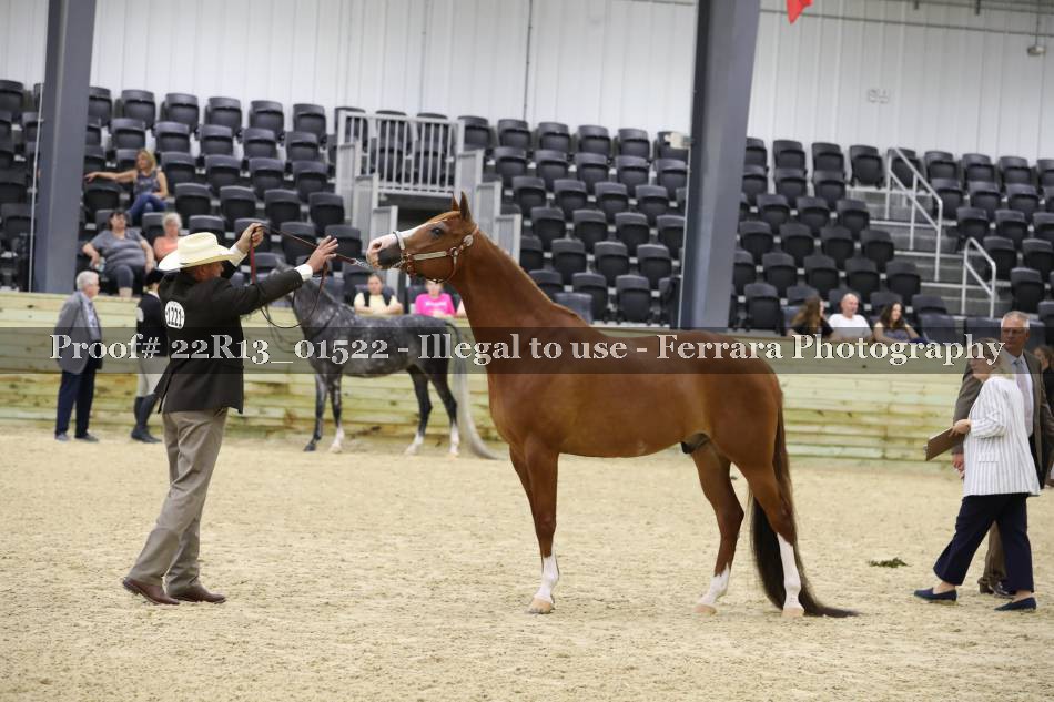 Proof 22R13_01522