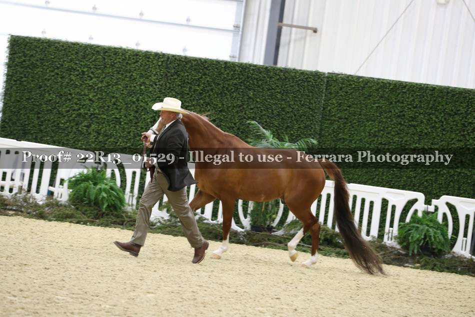 Proof 22R13_01529