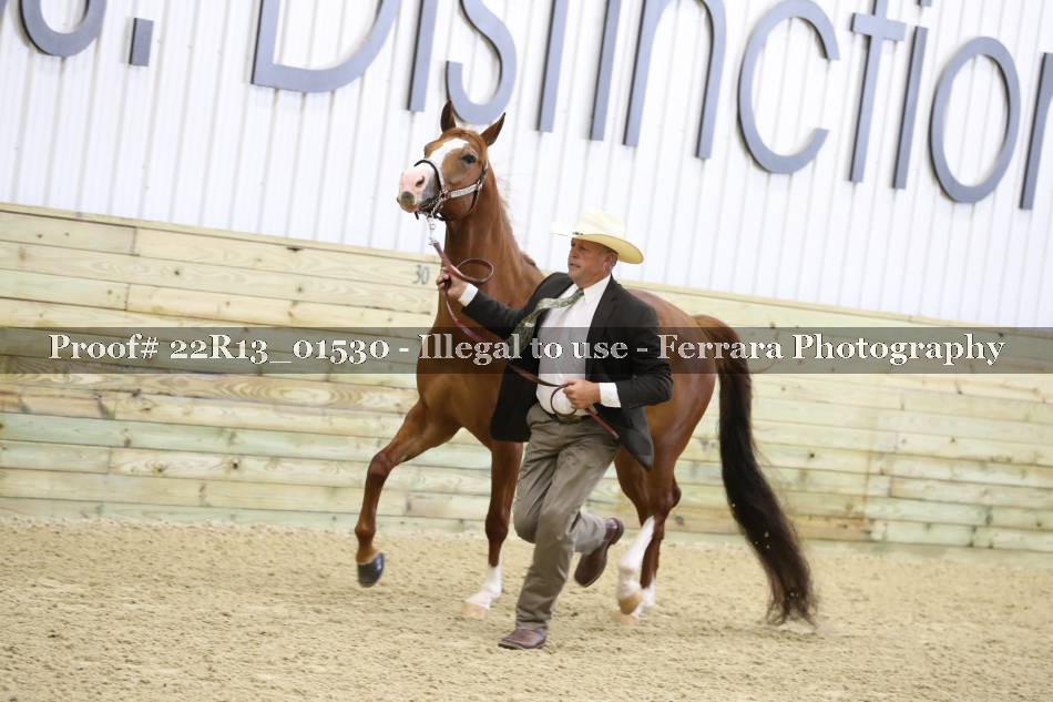 Proof 22R13_01530