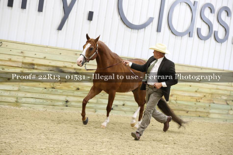 Proof 22R13_01531
