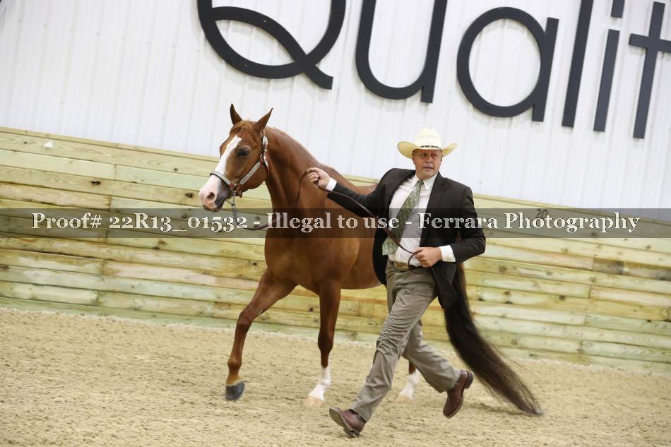 Proof 22R13_01532
