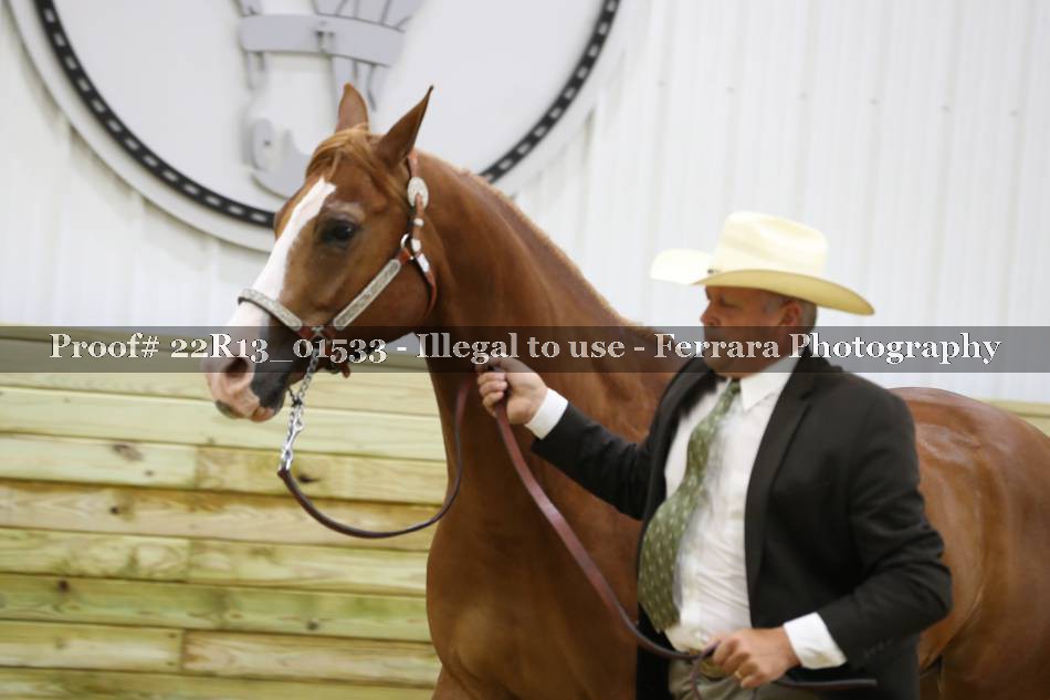 Proof 22R13_01533
